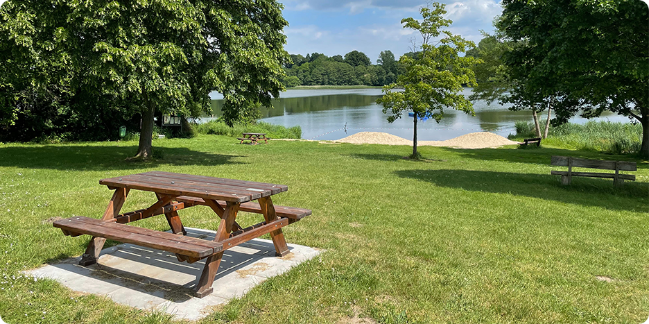 What Is the Best Wood for Outdoor Picnic Tables?
